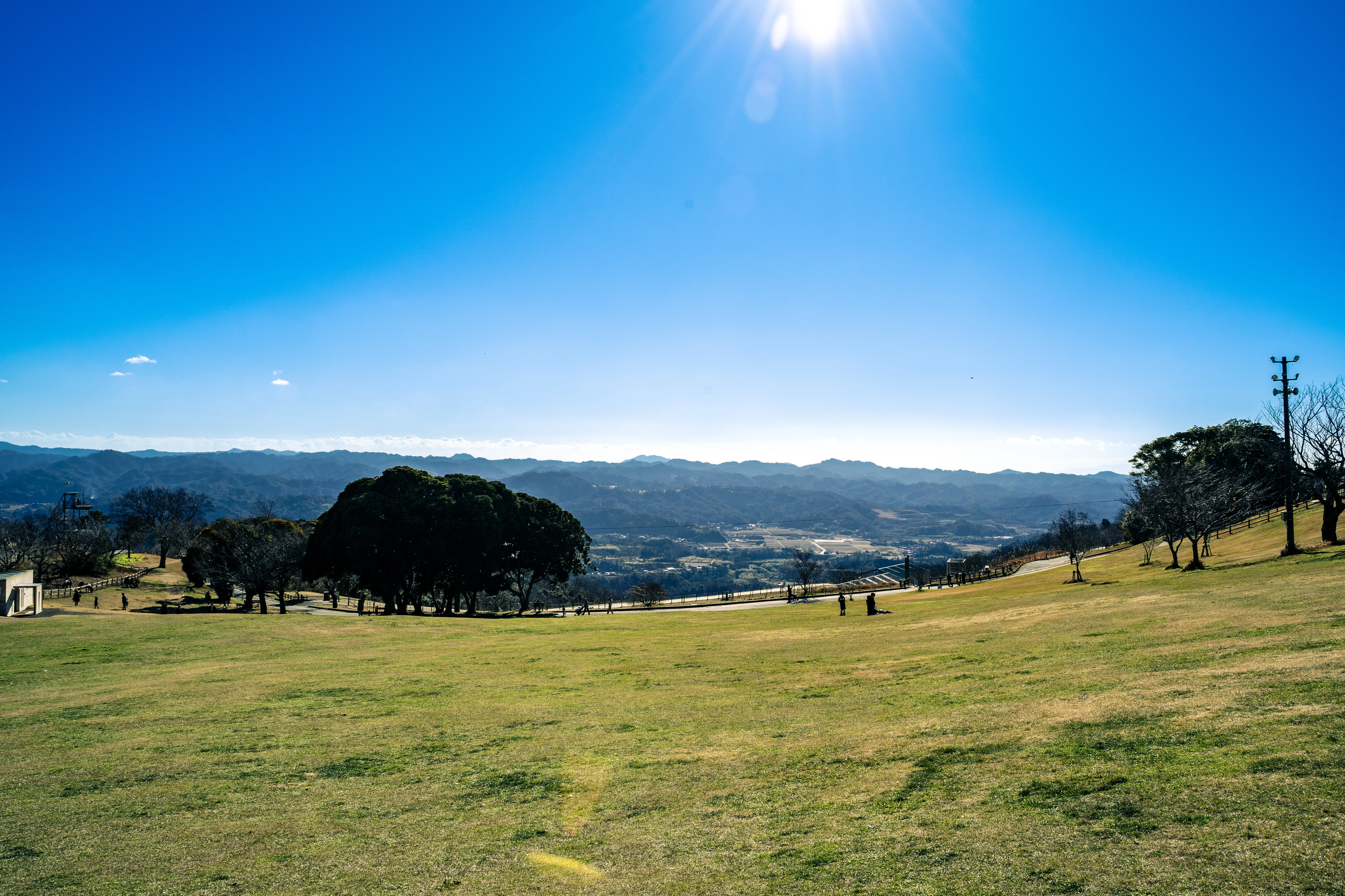 Tranquil Countryside Under a Radiant Blue Sky